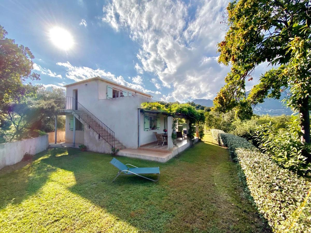 Domaine Punta Della Guardia Villa Vue Mer Dans Nature Protegee, Plage A 1,5 Km Cervione Exterior foto